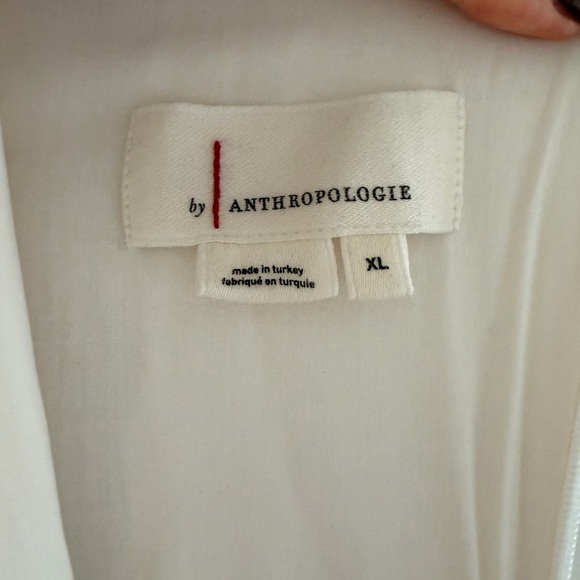 Anthropologie White Silk with Black Lace Dress - Picture 8 of 8